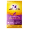 Wellness Grain-Free Complete Health Small Breed Adult Deboned Turkey, Chicken Meal & Salmon Meal Recipe Dry Dog Food -JW Pet Sales 2024 106879 MAIN. SY630 V1605831793