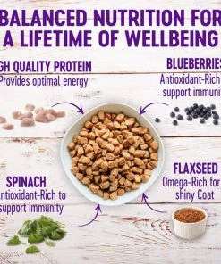 Wellness Grain-Free Complete Health Small Breed Adult Deboned Turkey, Chicken Meal & Salmon Meal Recipe Dry Dog Food -JW Pet Sales 2024 106879 PT2. SY630 V1629821772