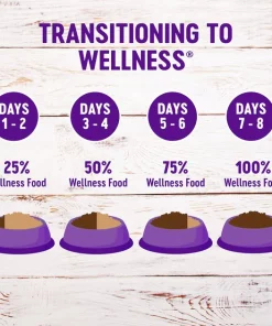 Wellness Complete Health Natural Grain-Free Deboned Chicken & Chicken Meal Dry Kitten Food -JW Pet Sales 2024 114498 PT7. SY630 V1636554409