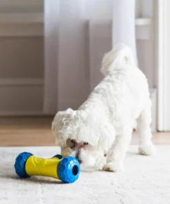 JW Pet Robo Bone Electronic Treat Dispenser Dog Toy -JW Pet Sales 2024 175097 PT2. SY630 V1602314167