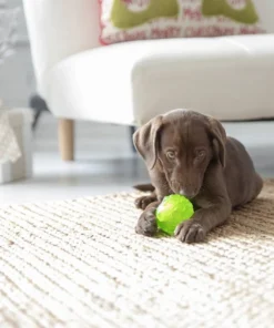 JW Pet Hedgehog Squeaky Ball Dog Toy -JW Pet Sales 2024 182731 PT2. SY630 V1602326776