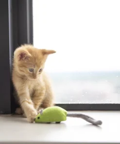 JW Pet Cat Zippy Mouse Cat Toy 7 JW Pet Cat Zippy Mouse Cat Toy -JW Pet Sales 2024 182741 PT2. SY630 V1602330668