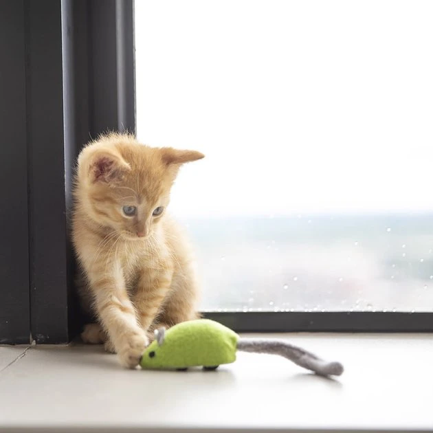 JW Pet Cat Zippy Mouse Cat Toy 5 JW Pet Cat Zippy Mouse Cat Toy - Image 3