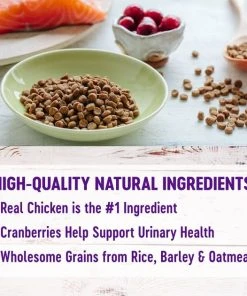 Wellness Complete Health Chicken & Rice Dry Cat Food -JW Pet Sales 2024 265112 PT2. SY630 V1636504373