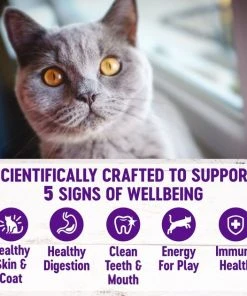 Wellness Complete Health Chicken & Rice Dry Cat Food -JW Pet Sales 2024 265112 PT3. SY630 V1636504103