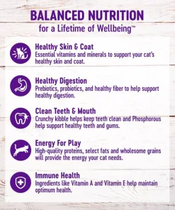 Wellness Complete Health Chicken & Rice Dry Cat Food -JW Pet Sales 2024 265112 PT5. SY630 V1636519896