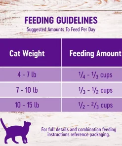 Wellness Complete Health Chicken & Rice Dry Cat Food -JW Pet Sales 2024 265112 PT7. SY630 V1636504608