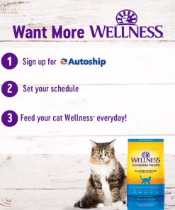 Wellness Complete Health Chicken & Rice Dry Cat Food -JW Pet Sales 2024 265112 PT8. SY630 V1636519590