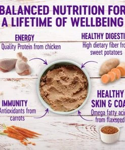 Wellness Complete Health Adult Deboned Chicken & Oatmeal Recipe Dry Food + Chicken & Sweet Potato Formula Canned Dog Food -JW Pet Sales 2024 293992 PT5. SY630 V1621981995