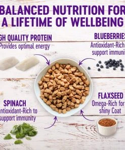 Wellness Complete Health Adult Whitefish & Sweet Potato Recipe Dry Food + WellBites Lamb & Salmon Recipe Soft & Chewy Grain-Free Dog Treats -JW Pet Sales 2024 294002 PT2. SY630 V1621987967