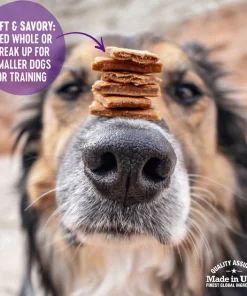 Wellness Complete Health Adult Whitefish & Sweet Potato Recipe Dry Food + WellBites Lamb & Salmon Recipe Soft & Chewy Grain-Free Dog Treats -JW Pet Sales 2024 294002 PT7. SY630 V1621990986