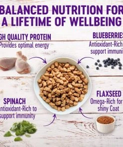 Wellness||WHIMZEES Wellness Large Breed Complete Health Adult Deboned Chicken & Brown Rice Recipe Dry Food + WHIMZEES Natural Dental Chews Medium Breed Value Box Dog Treats -JW Pet Sales 2024 294022 PT2. SY630 V1621990124