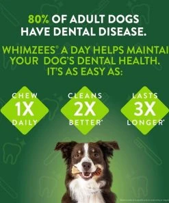 Wellness||WHIMZEES Wellness Large Breed Complete Health Adult Deboned Chicken & Brown Rice Recipe Dry Food + WHIMZEES Natural Dental Chews Medium Breed Value Box Dog Treats -JW Pet Sales 2024 294022 PT5. SY630 V1621990074