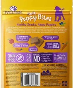 Wellness Large Breed Complete Health Puppy Deboned Chicken, Brown Rice & Salmon Meal Recipe Dry Food + Soft Puppy Bites Lamb & Salmon Recipe Grain-Free Dog Treats -JW Pet Sales 2024 294024 PT5. SY630 V1620247337