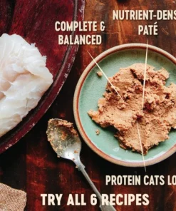 Wellness Complete Health Kitten Formula Grain-Free Canned Food + CORE Natural Grain-Free Turkey & Chicken Liver Pate Canned Kitten Food -JW Pet Sales 2024 294276 PT6. SY630 V1621983141