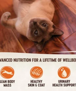 Wellness Complete Health Kitten Formula Grain-Free Canned Food + CORE Natural Grain-Free Turkey & Chicken Liver Pate Canned Kitten Food -JW Pet Sales 2024 294276 PT7. SY630 V1621984103