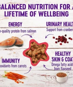 American Journey||Wellness American Journey Minced Chicken & Salmon Recipe in Gravy Grain-Free Canned Cat Food, 3-oz, case of 24 + Wellness Complete Health Natural Minced Salmon Dinner Grain-Free Canned Cat Food, 3-oz, case of 24 -JW Pet Sales 2024 297756 PT5. SY630 V1621289562