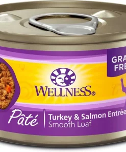 American Journey||Wellness American Journey Pate Salmon Recipe Grain-Free Canned Cat Food, 3-oz, case of 24 + Wellness Complete Health Turkey & Salmon Formula Grain-Free Canned Cat Food, 3-oz, case of 24 -JW Pet Sales 2024 297798 PT4. SY630 V1623251547