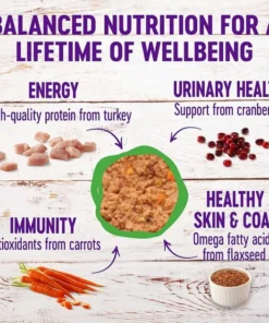 American Journey||Wellness American Journey Pate Turkey Recipe Grain-Free Canned Cat Food, 12.5-oz, case of 12 + Wellness Complete Health Turkey Formula Grain-Free Canned Cat Food, 12.5-oz, case of 12 -JW Pet Sales 2024 297802 PT5. SY630 V1623253662