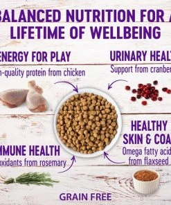 Wellness Complete Health Kitten Formula Grain-Free Canned Cat Food, 3-oz, case of 24 + Wellness Complete Health Natural Grain-Free Deboned Chicken & Chicken Meal Dry Kitten Food, 5.5-lb bag -JW Pet Sales 2024 298660 PT5. SY630 V1621984047