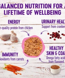 Wellness Complete Health Kitten Formula Grain-Free Canned Cat Food, 3-oz, case of 24 + Wellness Kittles Grain-Free Tuna & Cranberries Recipe Crunchy Cat Treats, 6-oz bag -JW Pet Sales 2024 298662 PT2. SY630 V1621990059