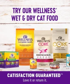 Wellness Complete Health Kitten Formula Grain-Free Canned Cat Food, 3-oz, case of 24 + Wellness Kittles Grain-Free Tuna & Cranberries Recipe Crunchy Cat Treats, 6-oz bag -JW Pet Sales 2024 298662 PT8. SY630 V1621983200