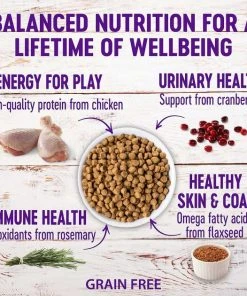 Wellness Complete Health Pate Chicken Entree Grain-Free Canned Cat Food, 3-oz, case of 24 + Wellness Complete Health Natural Grain-Free Deboned Chicken & Chicken Meal Dry Cat Food, 11.5-lb bag -JW Pet Sales 2024 298666 PT5. SY630 V1621288954