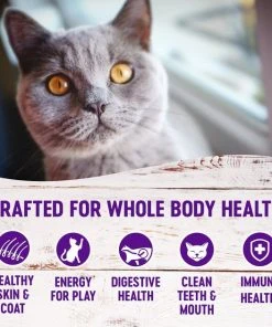 Wellness Complete Health Pate Chicken Entree Grain-Free Canned Cat Food, 3-oz, case of 24 + Wellness Complete Health Natural Grain-Free Deboned Chicken & Chicken Meal Dry Cat Food, 11.5-lb bag -JW Pet Sales 2024 298666 PT6. SY630 V1621982001