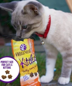 Wellness Complete Health Pate Chicken Entree Grain-Free Canned Cat Food, 12.5-oz, case of 12 + Wellness Kittles Grain-Free Salmon & Cranberries Recipe Crunchy Cat Treats, 6-oz bag -JW Pet Sales 2024 298672 PT6. SY630 V1621988586