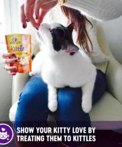 Wellness Complete Health Pate Chicken Entree Grain-Free Canned Cat Food, 12.5-oz, case of 12 + Wellness Kittles Grain-Free Salmon & Cranberries Recipe Crunchy Cat Treats, 6-oz bag -JW Pet Sales 2024 298672 PT7. SY630 V1621984082