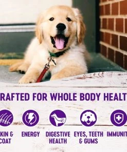 Wellness Complete Health Puppy Deboned Chicken, Oatmeal & Salmon Meal Recipe Dry Dog Food, 30-lb bag + Wellness Complete Health Just for Puppy Canned Dog Food, 12.5-oz, case of 12 -JW Pet Sales 2024 298680 PT3. SY630 V1621985852