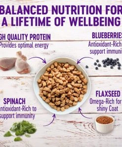 Wellness Complete Health Puppy Deboned Chicken, Oatmeal & Salmon Meal Recipe Dry Dog Food, 15-lb bag + Wellness Complete Health Just for Puppy Canned Dog Food, 12.5-oz, case of 12 -JW Pet Sales 2024 298682 PT2. SY630 V1621988905