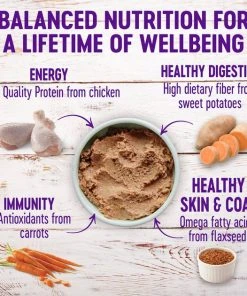 Wellness Complete Health Puppy Deboned Chicken, Oatmeal & Salmon Meal Recipe Dry Dog Food, 15-lb bag + Wellness Complete Health Just for Puppy Canned Dog Food, 12.5-oz, case of 12 -JW Pet Sales 2024 298682 PT7. SY630 V1621989513