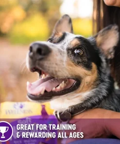 Wellness Complete Health Senior Deboned Chicken & Barley Recipe Dry Dog Food, 30-lb bag + Wellness WellBites Beef & Turkey Recipe Soft & Chewy Grain-Free Dog Treats, 6-oz bag -JW Pet Sales 2024 298684 PT6. SY630 V1621988310