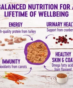 Wellness Complete Health Turkey & Salmon Formula Grain-Free Canned Cat Food, 12.5-oz, case of 12 + Wellness Complete Health Grain-Free Indoor Healthy Weight Chicken Recipe Dry Cat Food, 11.5-lb bag -JW Pet Sales 2024 298686 PT2. SY630 V1621986168