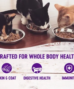Wellness Complete Health Turkey & Salmon Formula Grain-Free Canned Cat Food, 12.5-oz, case of 12 + Wellness Complete Health Grain-Free Indoor Healthy Weight Chicken Recipe Dry Cat Food, 11.5-lb bag -JW Pet Sales 2024 298686 PT3. SY630 V1621987352