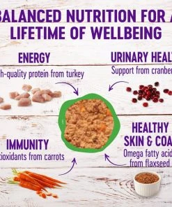 Wellness Complete Health Turkey Formula Grain-Free Canned Cat Food, 12.5-oz, case of 12 + Wellness Complete Health Natural Grain-Free Salmon & Herring Dry Cat Food, 11.5-lb bag -JW Pet Sales 2024 298696 PT2. SY630 V1621982583