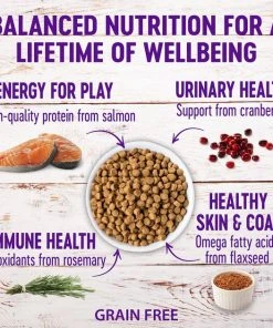 Wellness Complete Health Turkey Formula Grain-Free Canned Cat Food, 12.5-oz, case of 12 + Wellness Complete Health Natural Grain-Free Salmon & Herring Dry Cat Food, 11.5-lb bag -JW Pet Sales 2024 298696 PT5. SY630 V1621985861