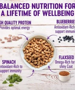 Wellness Small Breed Complete Health Senior Deboned Turkey & Peas Recipe Dry Dog Food, 4-lb bag + Wellness Complete Health Senior Formula Canned Dog Food, 12.5-oz, case of 12 -JW Pet Sales 2024 298752 PT2. SY630 V1621982314