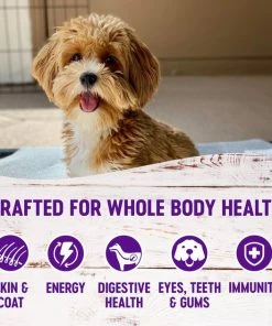 Wellness Small Breed Complete Health Senior Deboned Turkey & Peas Recipe Dry Dog Food, 4-lb bag + Wellness Complete Health Senior Formula Canned Dog Food, 12.5-oz, case of 12 -JW Pet Sales 2024 298752 PT3. SY630 V1621987083