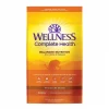 Wellness Complete Health Chicken Indoor Dry Cat Food -JW Pet Sales 2024 299534 MAIN. SY630 V1636517563
