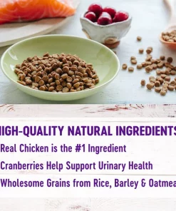 Wellness Complete Health Chicken Indoor Dry Cat Food -JW Pet Sales 2024 299534 PT2. SY630 V1636499515
