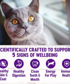 Wellness Complete Health Chicken Indoor Dry Cat Food -JW Pet Sales 2024 299534 PT3. SY630 V1636507384