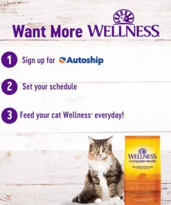 Wellness Complete Health Chicken Indoor Dry Cat Food -JW Pet Sales 2024 299534 PT8. SY630 V1636517906