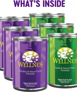 Wellness Complete Health Adult Deboned Chicken & Oatmeal Recipe Dry Food + Pate Variety Pack Wet Dog Food -JW Pet Sales 2024 353432 PT7. SY630 V1639539116