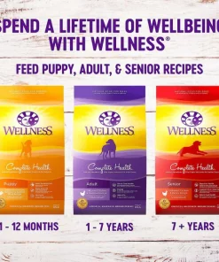 Wellness||WHIMZEES Wellness Complete Health Puppy Deboned Chicken, Oatmeal & Salmon Meal Recipe Dry Food + WHIMZEES Puppy Dental Dog Treats, X-Small/Small -JW Pet Sales 2024 353437 PT4. SY630 V1639541208