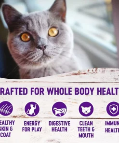 Wellness Complete Health Natural Grain-Free Deboned Chicken & Chicken Meal Dry Kitten Food + Kitten Variety Pack Grain-Free Canned Cat Food -JW Pet Sales 2024 353443 PT3. SY630 V1639522610