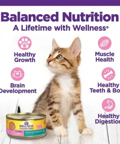 Wellness Complete Health Natural Grain-Free Deboned Chicken & Chicken Meal Dry Kitten Food + Kitten Variety Pack Grain-Free Canned Cat Food -JW Pet Sales 2024 353443 PT7. SY630 V1639532214