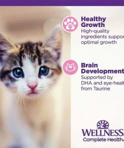 Wellness Complete Health Natural Grain-Free Deboned Chicken & Chicken Meal Dry Kitten Food + Kitten Variety Pack Grain-Free Canned Cat Food -JW Pet Sales 2024 353443 PT8. SY630 V1639539996