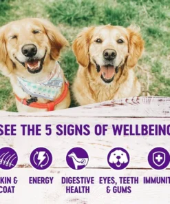 Wellness Large Breed Complete Health Adult Deboned Chicken & Brown Rice Recipe Dry Dog Food + Chicken Stew with Peas & Carrots Grain-Free Canned Food 16 Wellness Large Breed Complete Health Adult Deboned Chicken & Brown Rice Recipe Dry Dog Food + Chicken Stew with Peas & Carrots Grain-Free Canned Food -JW Pet Sales 2024 367528 PT6. SY630 V1644450123